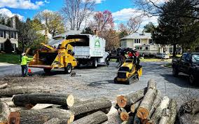 How Our Tree Care Process Works  in  Mcconnellstown, PA